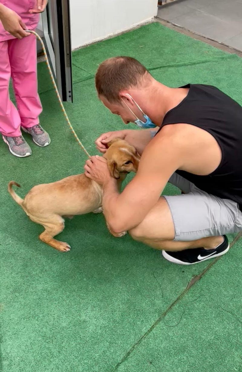 Madeira Friends host fundraiser for a non-profit animal association