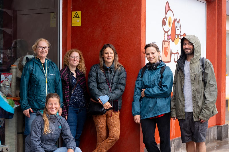 ๐ถ Madeira animal rescue guide