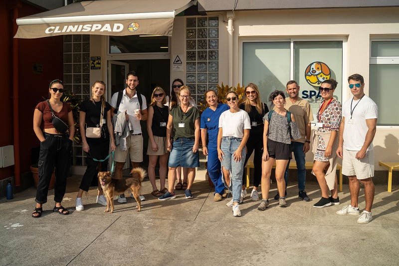 ๐ถ Madeira animal rescue guide