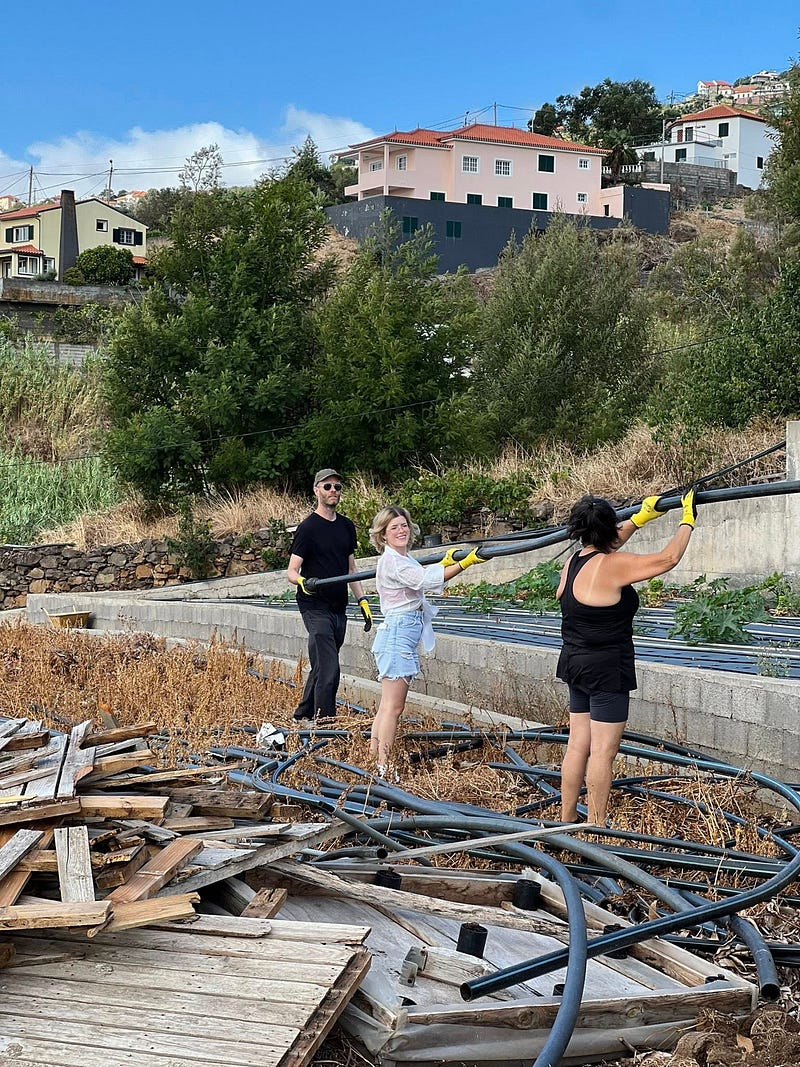 Madeira Friends and a taste of permaculture in Gaula