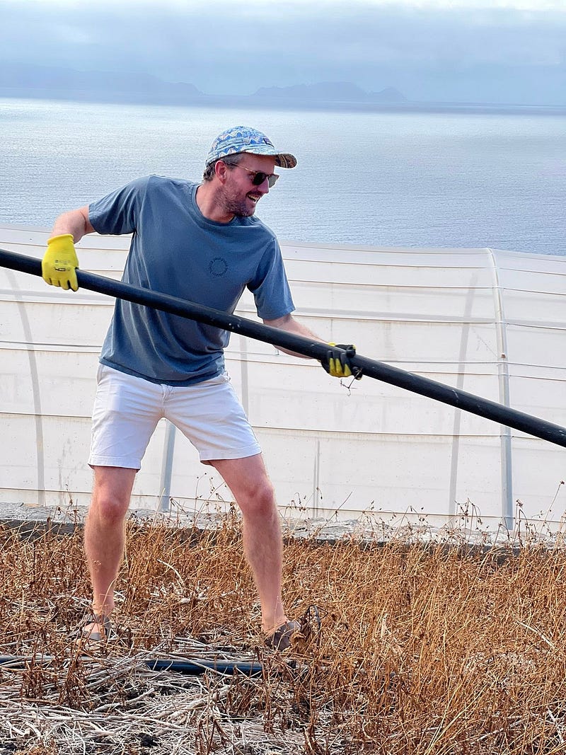 Madeira Friends and a taste of permaculture in Gaula