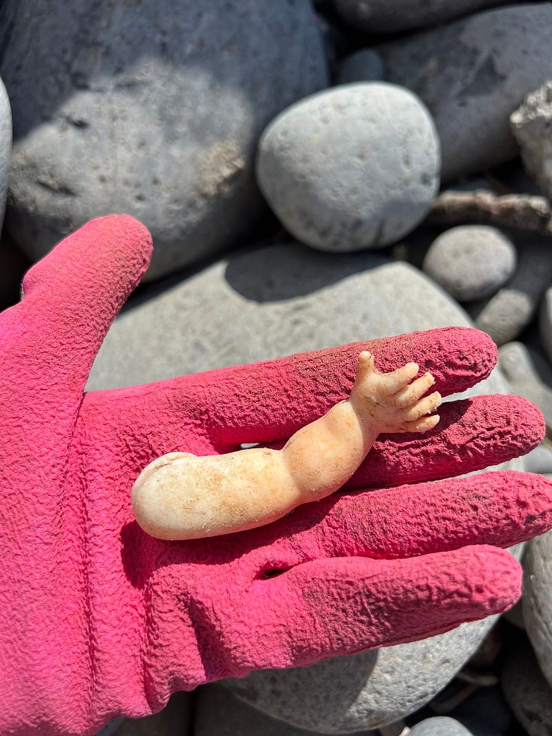 Madeira Friends clean beach at Praia Formosa