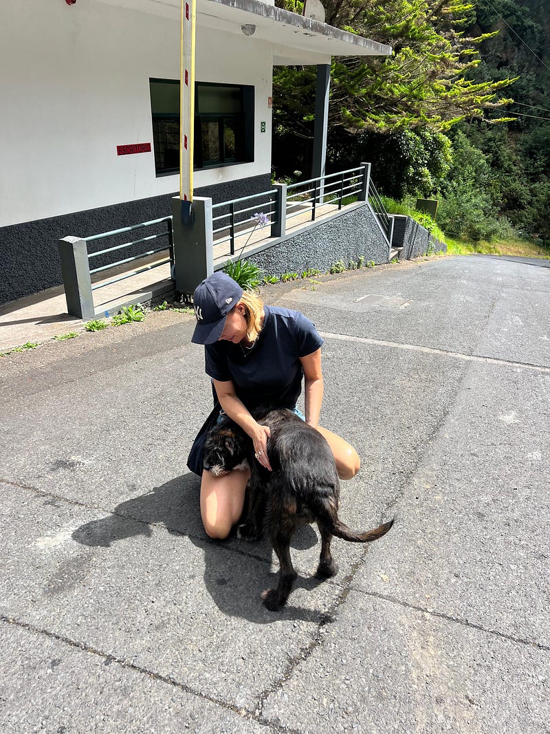 Madeira Friends visit Funchal Kennel 🐾